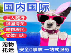 沧源佤山机场托运国际宠物托运 【国